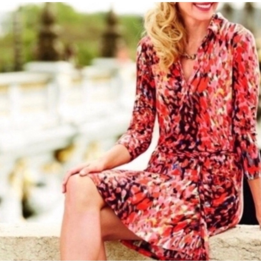 CABi Multicolor dress size medium style 374